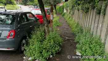 Diserbo marciapiedi, le risorse sono un dramma. E il nuovo bando inizierà nel 2024