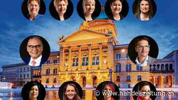 Diese Firmenlenker sitzen im Bundeshaus