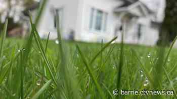 Owen Sound reminds residents yards must be maintained with grass no taller than 4 inches