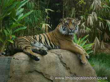 Should Zoos be Banned? Jonathan Pires Sutton Grammar School