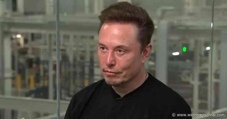 Elon Musk Takes Long Pause, Gives Activist Reporter Perfect Answer to Question