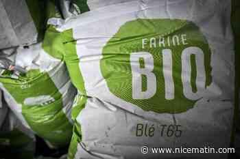 Marasme du bio: une "enveloppe de crise" de 60 millions d'euros pour les producteurs