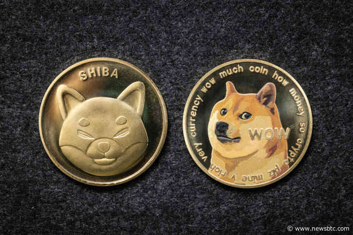 Dogecoin, Shiba Inu Whales Move Massive Amounts, Dumping Going On?