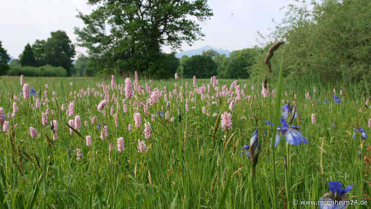 Hochwertige und einzigartige Flächen im ganzen Landkreis Traunstein