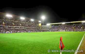 SHINE A LIGHT FOR BETH