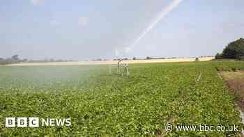 Devon and Cornwall farmers to be paid to store water on their land
