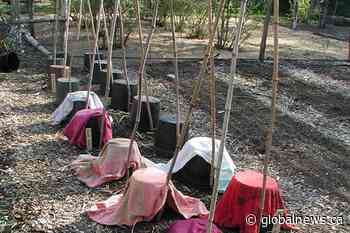 Wednesday night frost advisory issued for large swath of Ontario