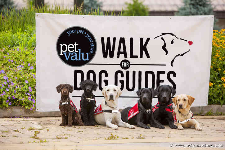 Want to go for a walk? Dog Guides fundraiser set for May 28 
