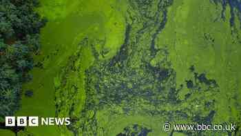 Sewage spills: Water bills set to rise to pay for £10bn upgrade