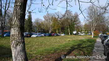 Für den Erhalt der Stadtbäume: Unterschriften-Aktion in Rosenheim gestartet