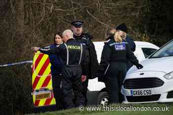 Caterham dog attack: Victim’s American Bully XL put down