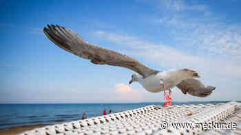 „Erster Sommertag des Jahres“: Wo es am Wochenende bis zu 28 Grad werden