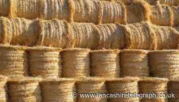 Lycetts advice to farmers working with hay bales