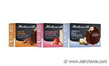 Hudsonville introduces three new ice cream novelties