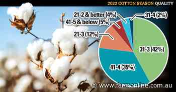 New season cotton quality looking good