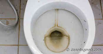 Smelly toilets flushing away British business profits