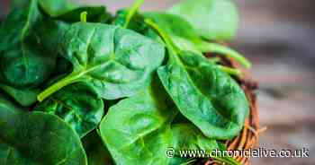 Seven foods that may reduce your risk of dementia - as the general age of population increases