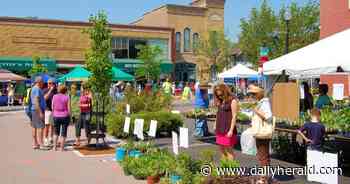 Blooming Fest returning Saturday to downtown West Chicago