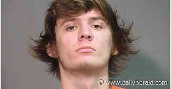 Spring Grove man pleads guilty to 'calculated criminal conspiracy' of marijuana, gets 180 days in jail, probation