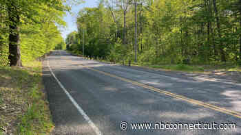 Moose Dies After Being Struck in Hartland