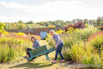 Helmsley Walled Garden: Community Days for all the family