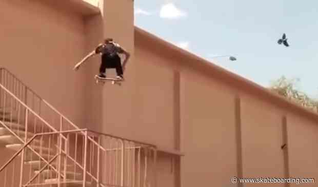 Aaron "Jaws" Homoki Has Been Doing Those Huge Ollies on Bones Wheels' Secret XFORMULA This Whole Time