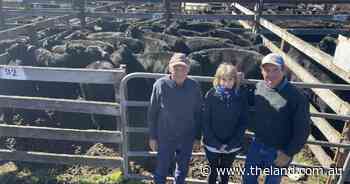 Braidwood market firm in outstanding quality yarding