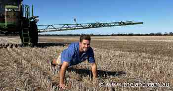 Farmer Will wants you to do 3,144 pushups for mental health
