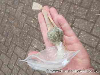 Kid allegedly ‘found with cannabis’ in Orpington Priory Gardens