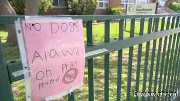 Boy, 14, seriously injured in off-leash dog attack in Toronto school yard