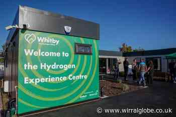 Whitby residents invited to have their say on hydrogen village poll