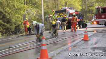 Fire crews tackle large grass fire in Springwater Township