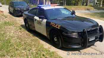 Arborist dies in Oro-Medonte after 50-foot fall from tree