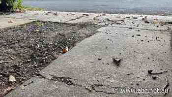 'Intergenerational' concrete scam travelling town-to-town across regional Australia