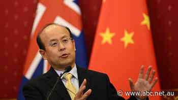 'A great outcome': Ambassador says Australia can resume exporting timber to China