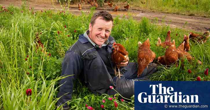 Why are eggs so expensive? Here’s what a farmer and 14,000 hens told me