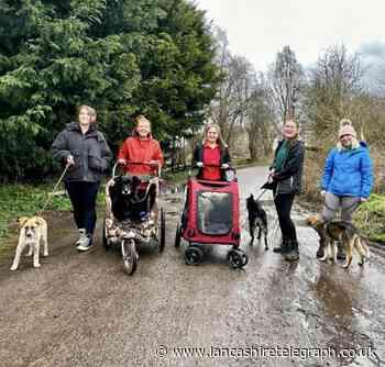 Accrington shelter receives generous donation to help house 80 dogs