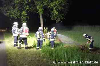 Rahden: Feuerwehr löscht nächtlichen Böschungsbrand