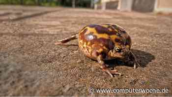 Windows-Treiber aktualisieren, deinstallieren, löschen: Das hilft gegen Driver-Überblähung