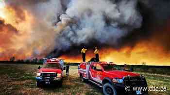 If we're going to tackle worsening wildfires, we need to think different, say those who know