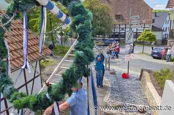 Kalletal: Taller Maibaum kommt an Himmelfahrt dazu