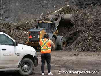 Montreal weather: That moment when you realize it's finally Friday