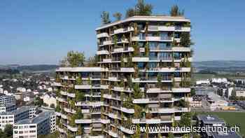 Bundesrat will Steuererleichterungen für Dachbegrünungen prüfen