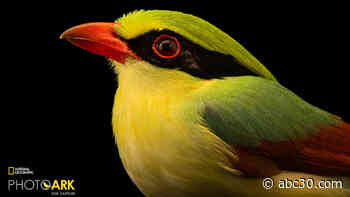 Man attempting to photograph every animal species in human care reaches his 14,000th