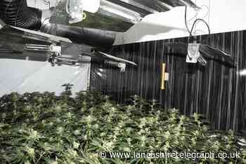 Huge cannabis farm found in disused Blackpool hotel