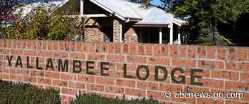 Australian police Taser 95-year-old with dementia as she approached them with knife