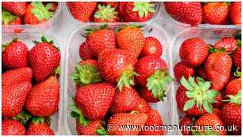 Extending the shelf-life of berries with CBD