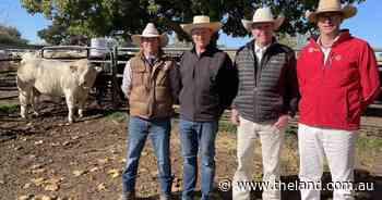 Snoop Dog 'raps' up $23,000 top price at Rosedale Rosedale bull sale