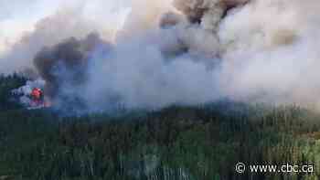 Why wildfire seasons are getting stronger and longer