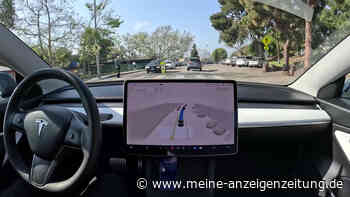 Tesla reagiert nicht auf Zebrastreifen – Nutzer verteidigt Full Self-Driving